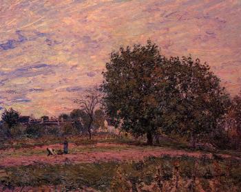 Walnut Trees, Sunset, Early Days of October